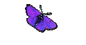 Tarif F2