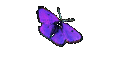 Tarif F3 b